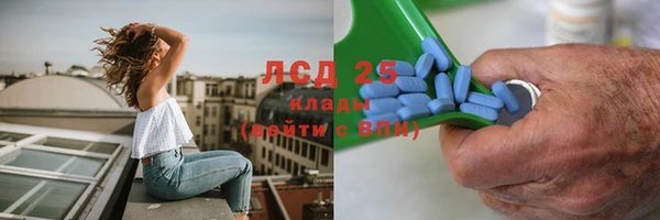 скорость Ельня