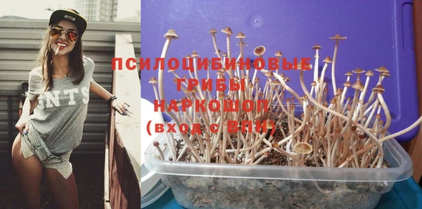 герыч Елабуга