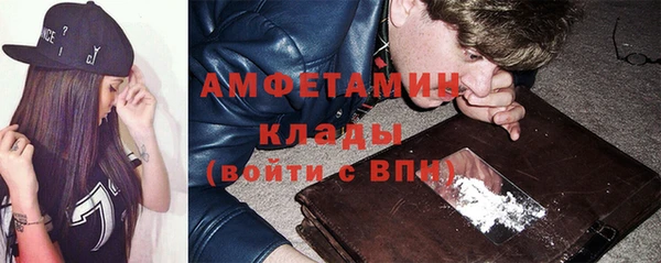 скорость Ельня