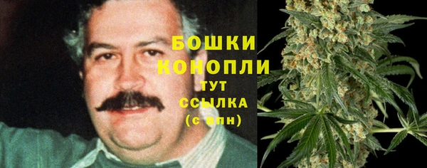 скорость Ельня