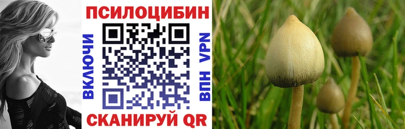 Купить где  Озёрск  Псилоцибиновые грибы Magic Shrooms 